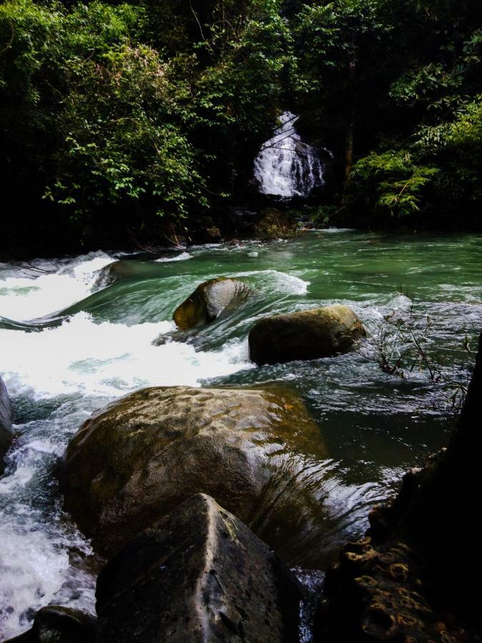 カオソック アイランド リゾート Khao Sok National Park エクステリア 写真